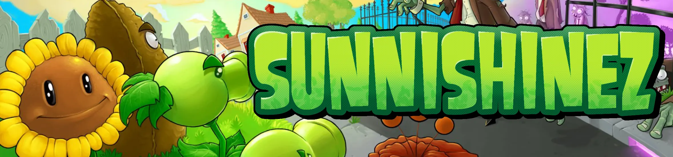sunnishinez header